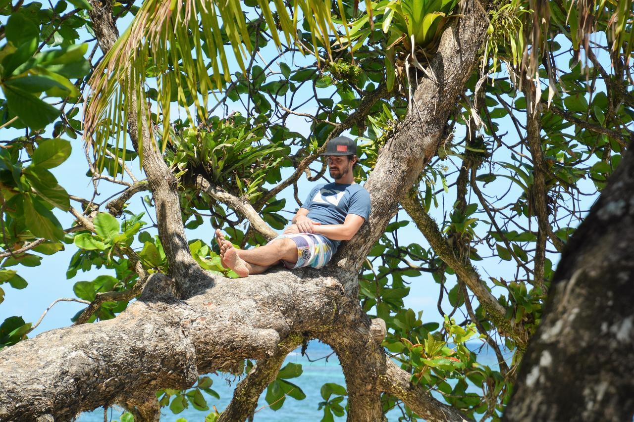 Dolphin Bay Hideaway Bed & Breakfast